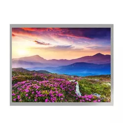 MVA 10.4 इंच TFT LCD डिस्प्ले G104X1-L04 LVDS इंटरफ़ेस TFT LCD मॉड्यूल